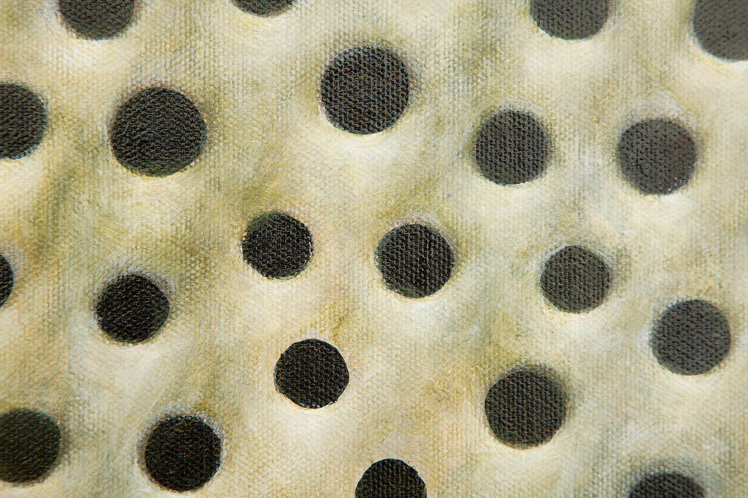 _XE_2786_detail
