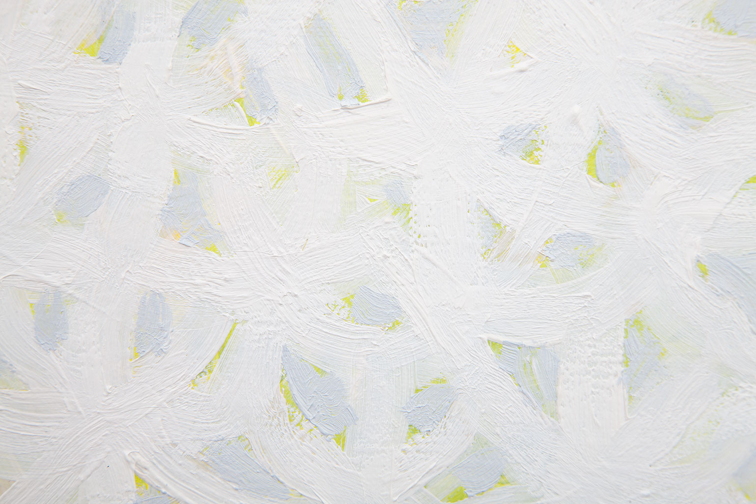 _XE_2798_detail